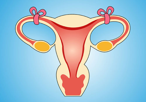 复扎输卵管短影响怀孕吗？可以直接做试管婴儿！
