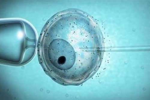 多囊卵巢综合症做试管的多吗？做试管婴儿成功率有多高？