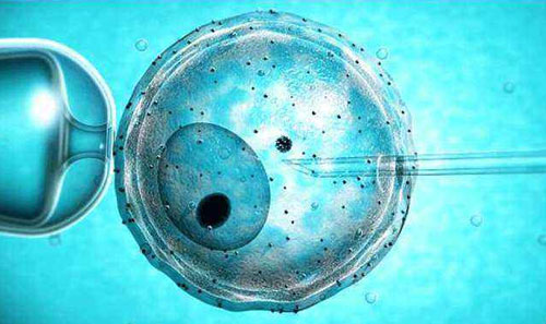 试管养囊胚成功率高吗？为什么不用好的胚胎养囊呢？