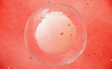襄胚移植宫外孕有什么症状?冻胚移植21天如宫外孕有什么症状?