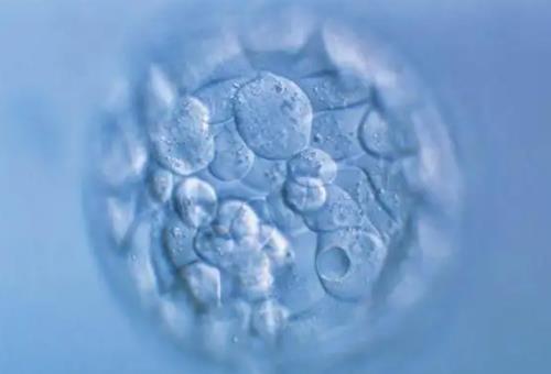 襄胚是二级的移植会成功吗？冻胚移植第八天开始腰疼有成功的吗？