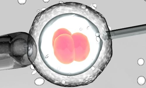 胚胎分几个细胞？试管胚胎一级八细胞和囊胚的区别？